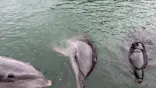 下田海中水族館に投稿された画像（2026/9/13）