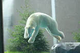 天王寺動物園に投稿された画像（2026/9/13）