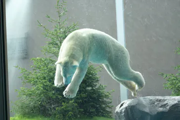天王寺動物園に投稿された画像（2026/9/12）