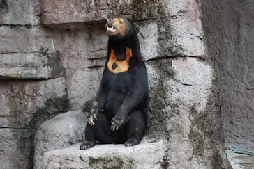天王寺動物園に投稿された画像（2026/9/12）