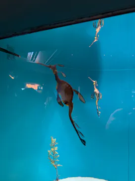葛西臨海水族園に投稿された画像（2026/9/12）