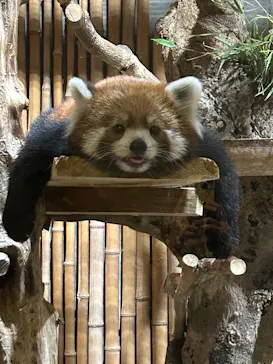 いしかわ動物園に投稿された画像（2026/9/13）