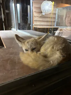いしかわ動物園に投稿された画像（2026/9/13）