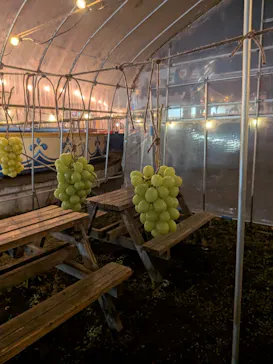 宇都宮動物園に投稿された画像（2026/9/13）