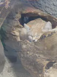 神戸どうぶつ王国に投稿された画像（2026/9/13）