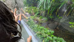 世界淡水魚園水族館　アクア・トトぎふに投稿された画像（2026/9/13）