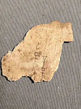 東京国立博物館に投稿された画像（2026/9/13）