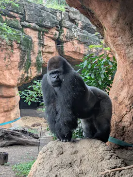 恩賜上野動物園に投稿された画像（2026/9/13）
