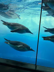 名古屋港水族館に投稿された画像（2026/9/13）