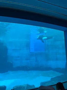 名古屋港水族館に投稿された画像（2026/9/13）