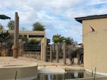 天王寺動物園に投稿された画像（2026/9/13）