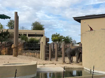 天王寺動物園に投稿された画像（2026/9/13）
