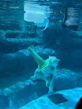 天王寺動物園に投稿された画像（2026/9/13）