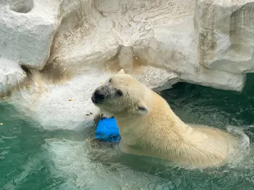 恩賜上野動物園に投稿された画像（2026/9/13）