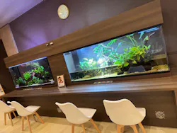 潮芦屋温泉 SPA 水春に投稿された画像（2026/9/13）