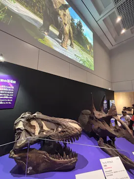 特別展　大絶滅展に投稿された画像（2026/9/13）