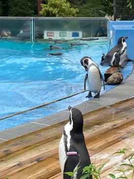 こども動物自然公園（埼玉県公園緑地協会）に投稿された画像（2026/9/13）