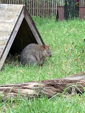 こども動物自然公園（埼玉県公園緑地協会）に投稿された画像（2026/9/13）