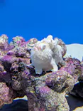 アクアワールド茨城県大洗水族館に投稿された画像（2026/9/13）