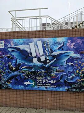 アクアワールド茨城県大洗水族館に投稿された画像（2026/9/13）