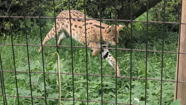 多摩動物公園に投稿された画像（2026/9/13）