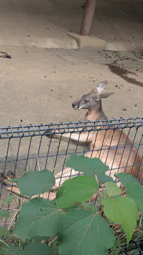 多摩動物公園に投稿された画像（2026/9/13）