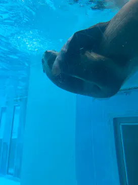マリンワールド海の中道に投稿された画像（2026/9/13）