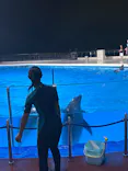 マリンワールド海の中道に投稿された画像（2026/9/13）