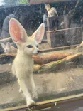 伊豆シャボテン動物公園に投稿された画像（2026/9/13）