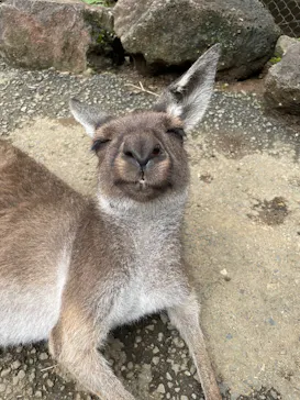 伊豆シャボテン動物公園に投稿された画像（2026/9/13）