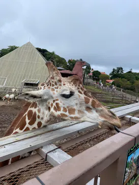 伊豆シャボテン動物公園に投稿された画像（2026/9/13）