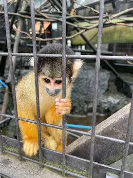 伊豆シャボテン動物公園に投稿された画像（2026/9/13）