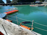 下田海中水族館に投稿された画像（2026/9/13）