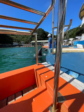 下田海中水族館に投稿された画像（2026/9/13）