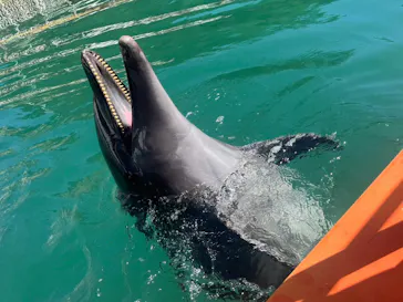 下田海中水族館に投稿された画像（2026/9/13）