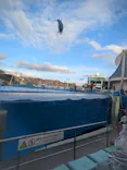 名古屋港水族館に投稿された画像（2026/9/14）