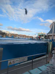 名古屋港水族館に投稿された画像（2026/9/13）