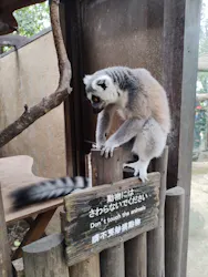 神戸どうぶつ王国に投稿された画像（2026/9/13）