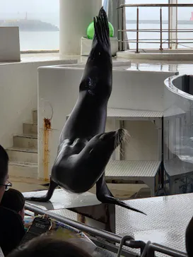 アクアワールド茨城県大洗水族館に投稿された画像（2026/9/13）