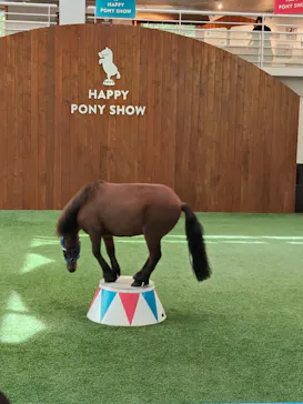 ノーザンホースパークに投稿された画像（2026/9/13）
