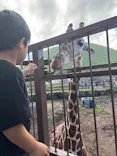 伊豆シャボテン動物公園に投稿された画像（2026/9/14）