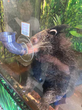 伊豆シャボテン動物公園に投稿された画像（2026/9/13）
