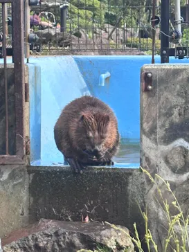 伊豆シャボテン動物公園に投稿された画像（2026/9/13）