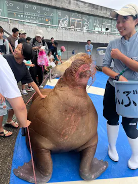 大分マリーンパレス水族館 「うみたまご」に投稿された画像（2026/9/13）