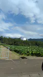 福井県立恐竜博物館に投稿された画像（2026/9/14）