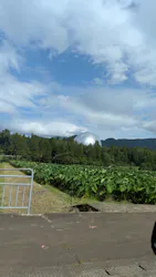 福井県立恐竜博物館に投稿された画像（2026/9/14）