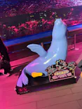 サンシャイン水族館に投稿された画像（2026/9/14）
