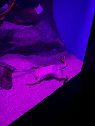 サンシャイン水族館に投稿された画像（2026/9/14）