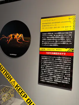 特別展「超危険生物展　科学で挑む生き物の本気」に投稿された画像（2026/9/14）