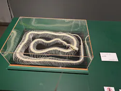 特別展「超危険生物展　科学で挑む生き物の本気」に投稿された画像（2026/9/14）